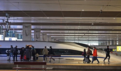 鄭州鐵路逐步恢復列車開行，明起恢復高鐵8趟